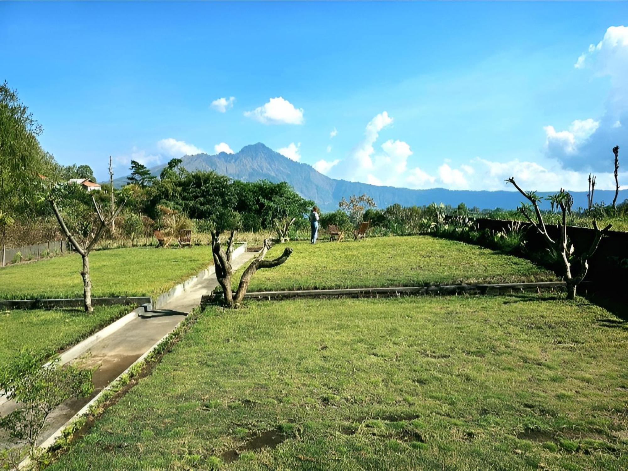 Bed and Breakfast Hillside Bali Kubupenlokan Exterior foto